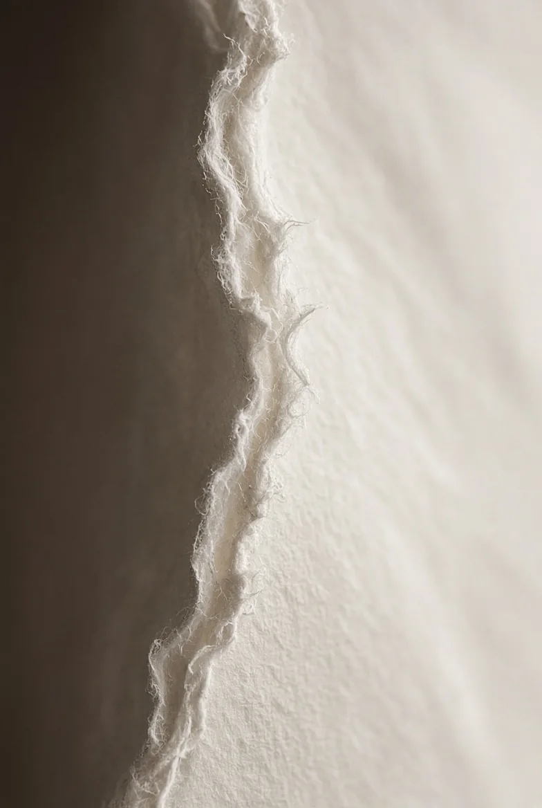 Backlit torn edge of handmade white paper